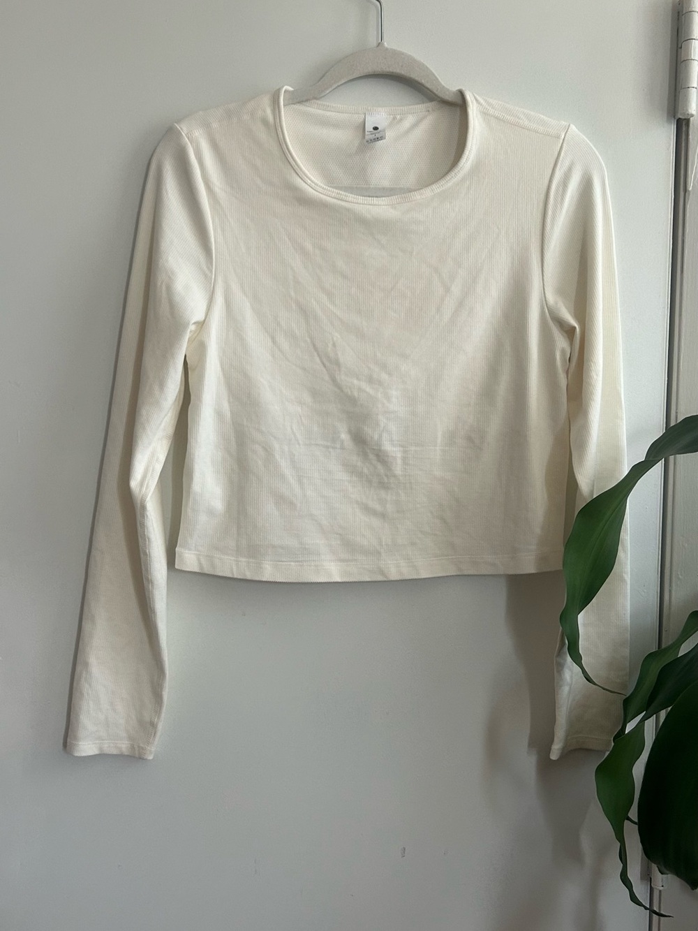 Yogalicious Long Sleeve Crop Tee in Cream